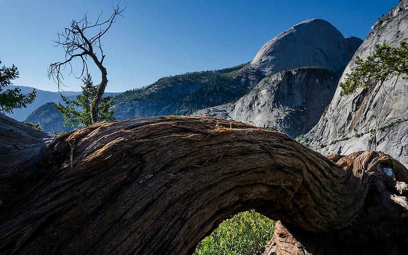 Yosemite National Park Microsoft theme