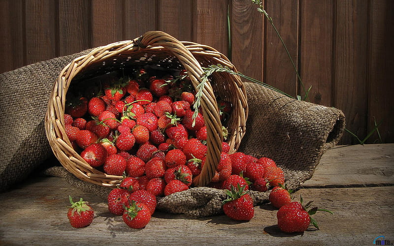 strawberries, fruit, red, delicious, brown, strawberry basket, nature, bonito, wood, HD wallpaper