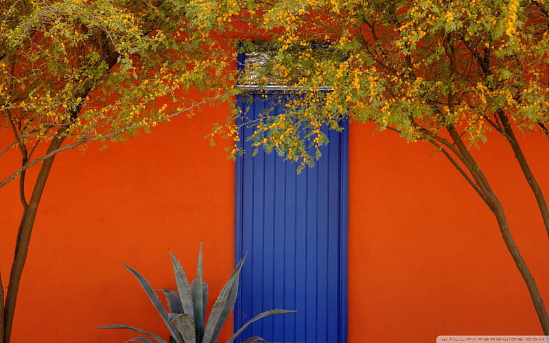 blue door in barrio district in tucson az, tree, orange, wall, blue, door, HD wallpaper