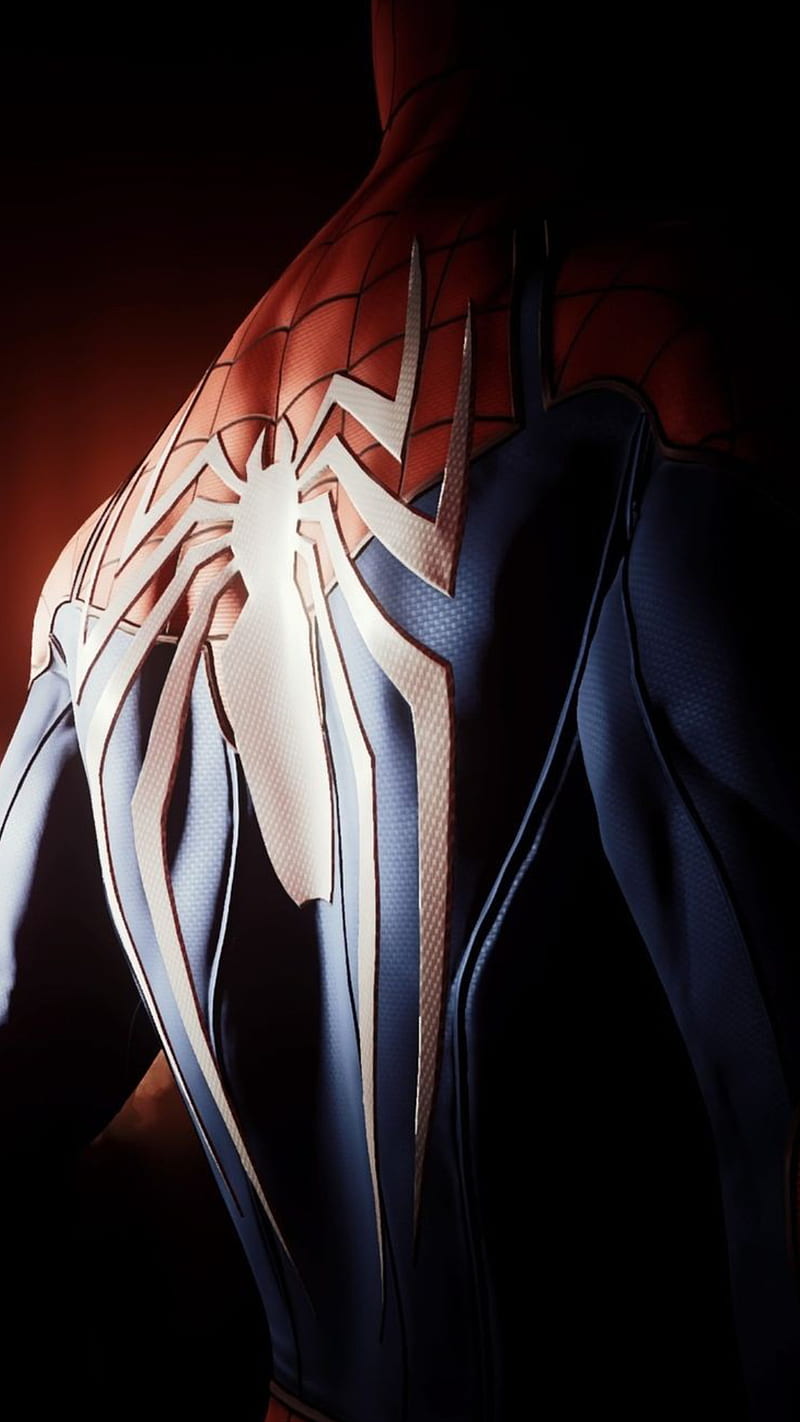 Spiderman, spider, man, logo, back, rear, hero, marvel, HD phone wallpaper