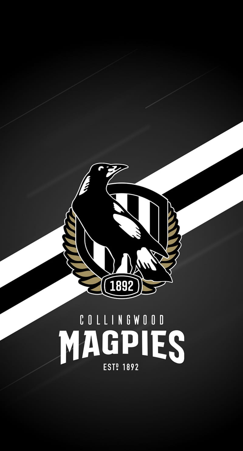 Collingwood Magpies, football, logo, teams, theme, HD phone wallpaper
