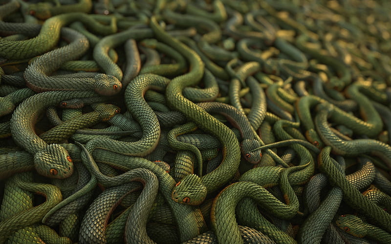 3d snakes, background with snakes, 3d art, snakes, green 3d snakes, HD  wallpaper | Peakpx