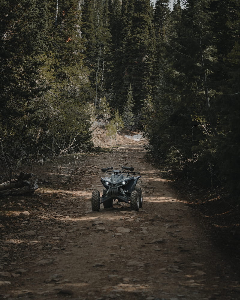 atv, wheels, extreme, road, forest, HD phone wallpaper