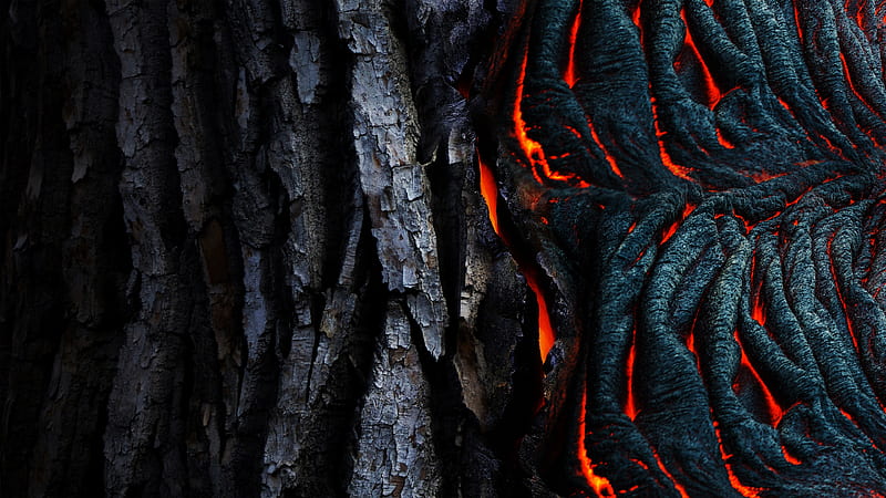 Lava, abstract, interesting, wood, HD wallpaper
