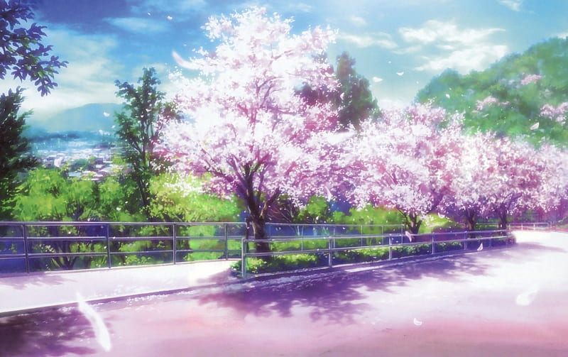 Cherry Blossoms Path, pretty, scenic, sakura blossom, shade, plant, breeze, bonito, floral, cherry blossom, sweet, blossom, anime, path, beauty, scenery, road, street, sakura, cloud, lovely, view, shadow, sky, tree, flower, nature, petals, scene, HD wallpaper