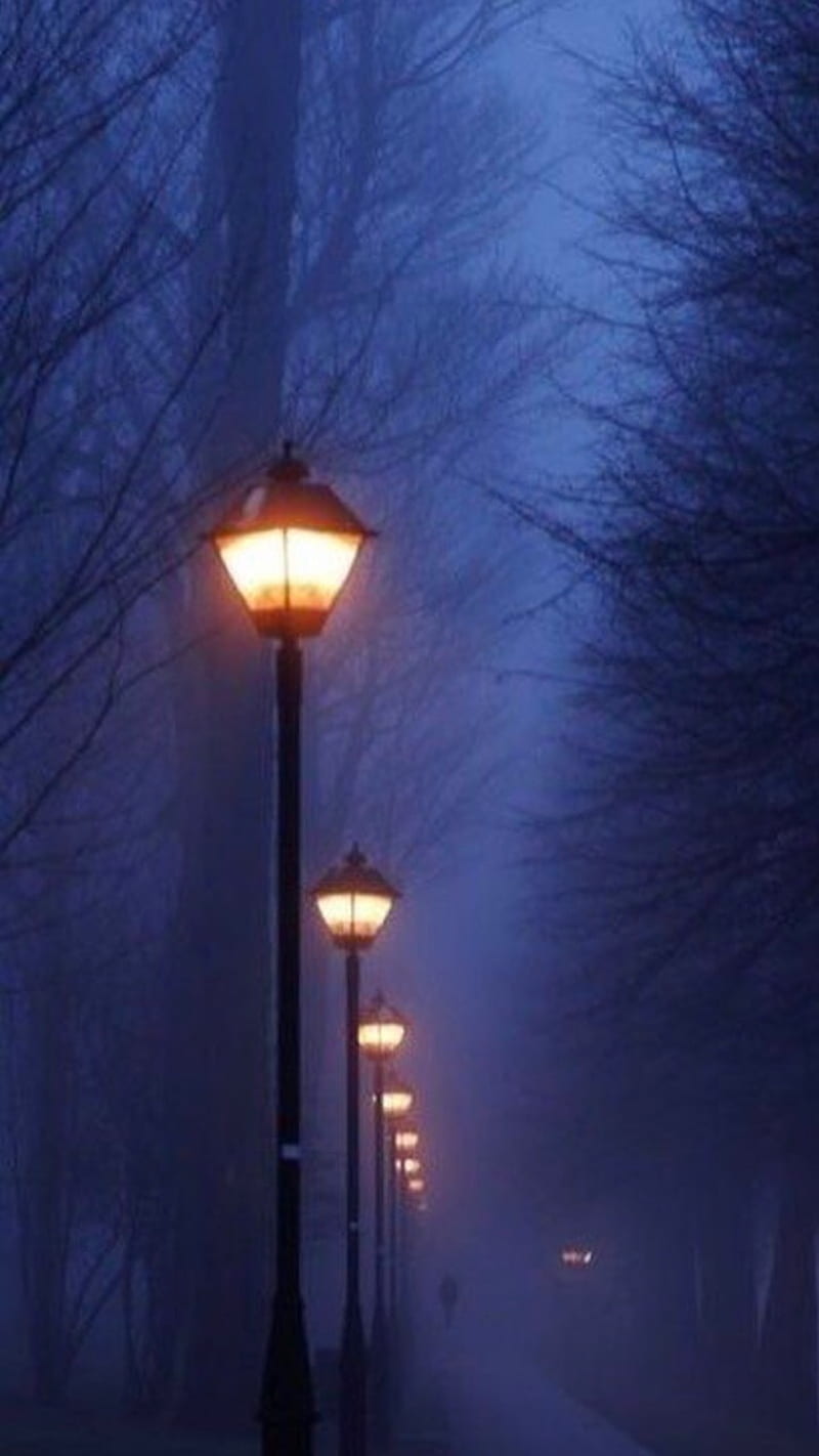 Street lamps, evening, night, HD phone wallpaper