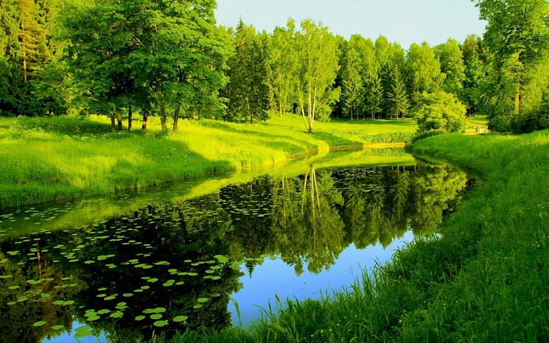 Hermosos paisajes, naturaleza, río, árboles, verde, Fondo de pantalla HD |  Peakpx