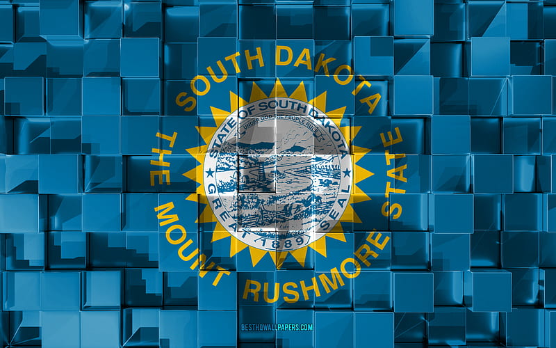 Flag of South Dakota, 3d flag, US state, 3d cubes texture, Flags of American states, 3d art, South Dakota, USA, 3d texture, South Dakota flag, HD wallpaper