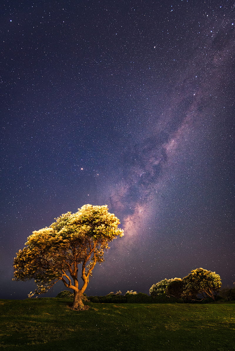 Australia, Sydney, Milky Way, stars, vertical, night, HD phone wallpaper