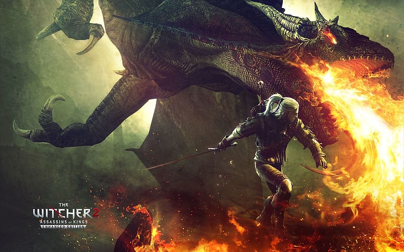 Dragon, Warrior, Video Game, The Witcher, The Witcher 2: Assassins Of Kings, HD wallpaper