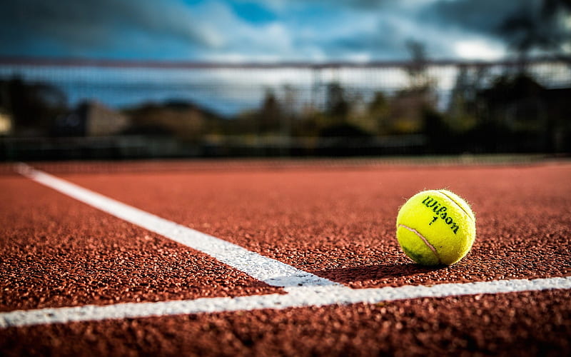 tennis court, tennis, yellow tennis ball, court with a hard surface, HD wallpaper