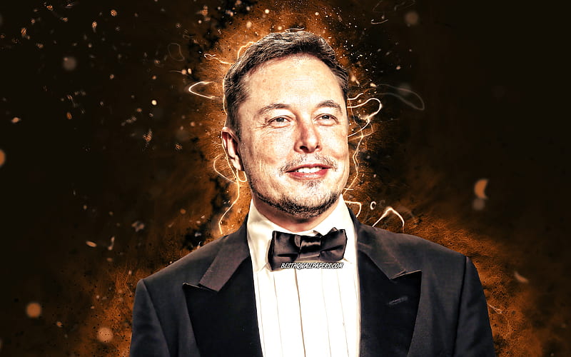 Elon Musk brown neon lights, american engineers, american celebrity, Elon  Reeve Musk, HD wallpaper | Peakpx