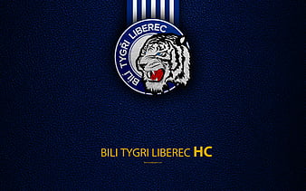 HC White Tigers Liberec 2013-14 Czech Extraliga #1 Goalie Czech