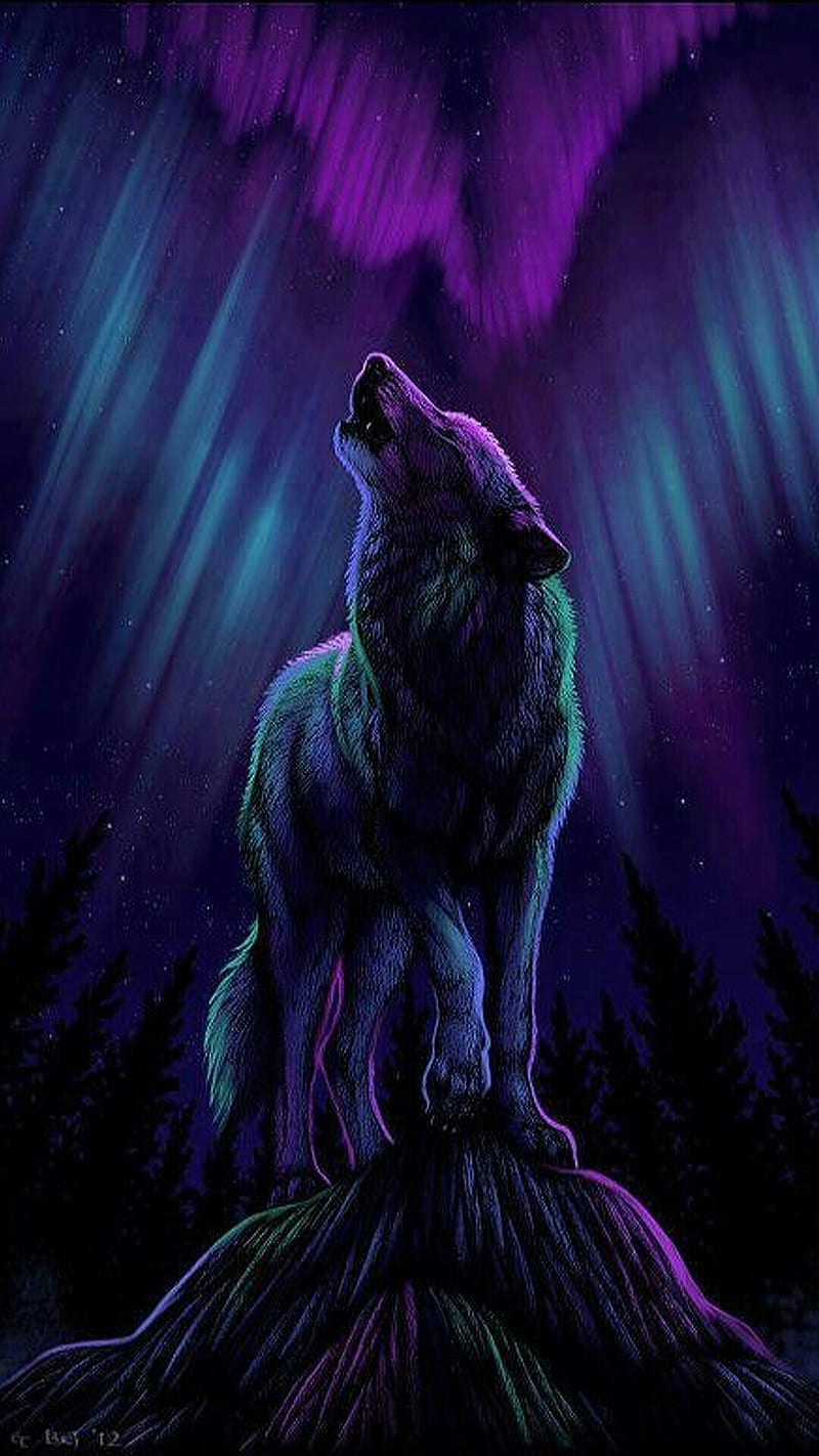 Wolf, animal, fantasy, wild, HD phone wallpaper