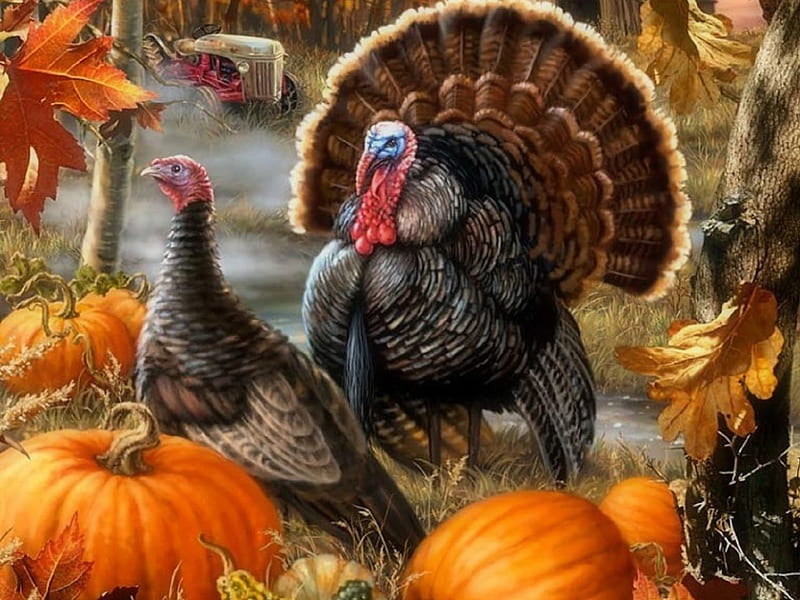 'Wishing you all the blessed Thanksgiving', fall, autumn, holidays, lovely, colors, love four seasons, bonito, creative pre-made, blessings, happy, thanksgiving, turkeys, leaves, paintings, animals, pumpkins, HD wallpaper
