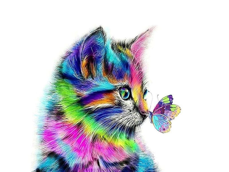 Rainbow kitten, butterfly, rainbow, kitten, cat, animal, colorful, cute, fantasy, pink, pisici, blue, HD wallpaper