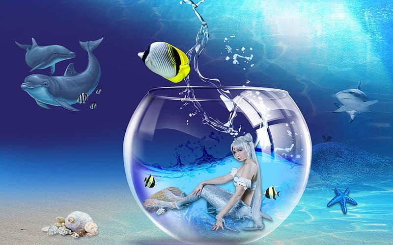 Mermaid in a Bowl, Sand, fish, Sealife, Mermaid, ocean, digital art, sea, glass, upwater, shells, bowl, HD wallpaper