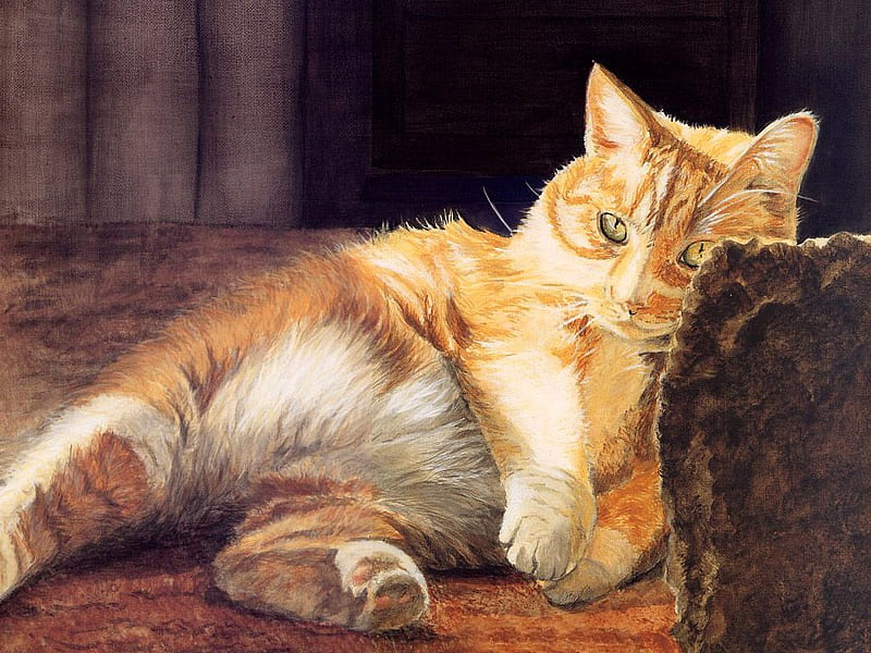 I am resting, painting, cat, kitten, animal, HD wallpaper