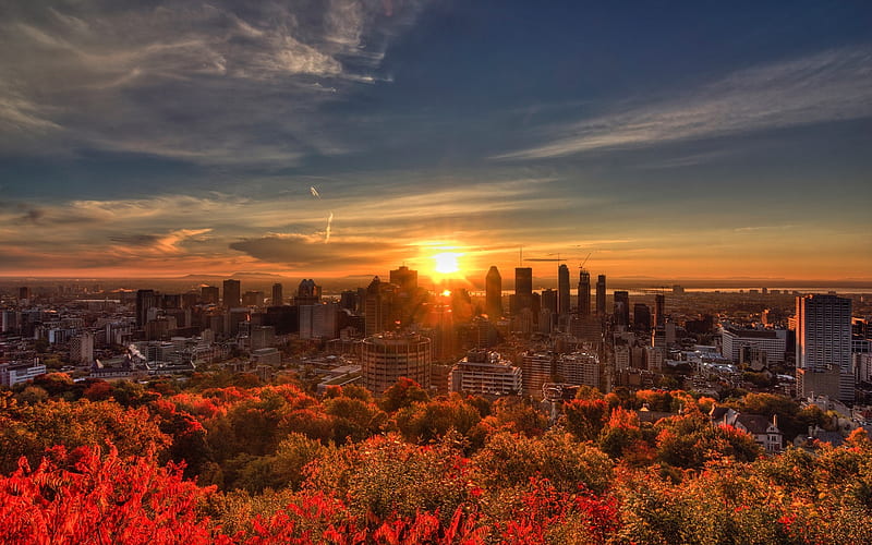 Montreal, Canada, morning, sunrise, cityscape, houses, HD wallpaper