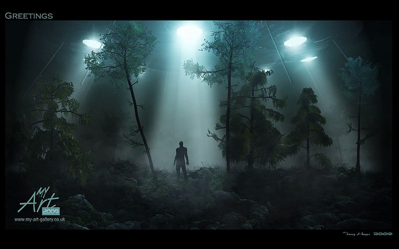 Dark Forest, shadows, warrior, figure, lights, HD wallpaper