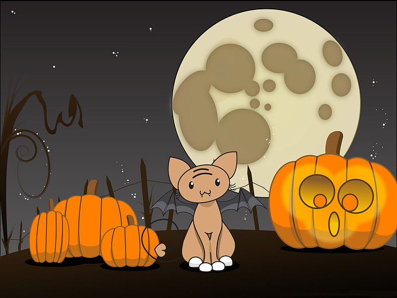 Halloween, october 31, moon, holiday, pumpkin, cat, HD wallpaper