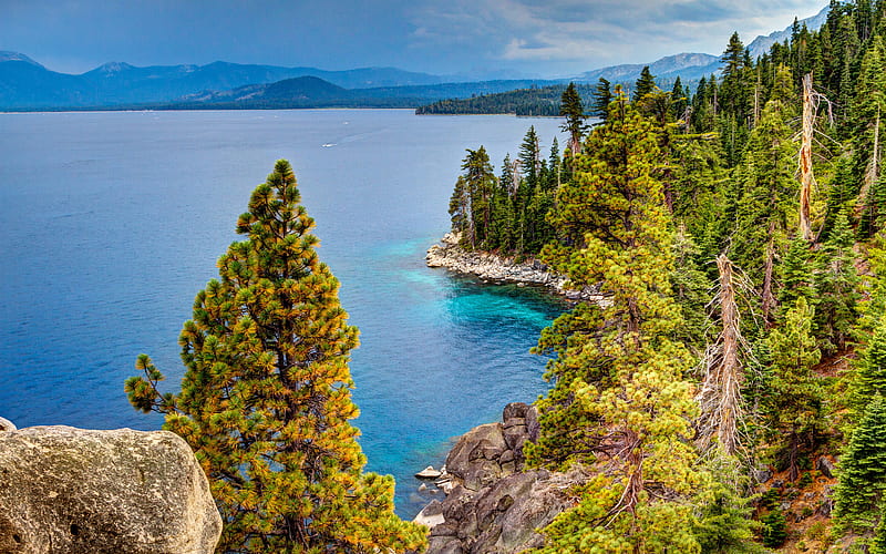 Lake Tahoe summer, beautiful nature, California, forest, USA, America, HD wallpaper