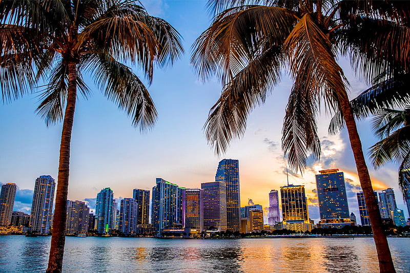 Miami, Florida - Palm Trees and Skyline, city, view, Florida, Miami, bonito, America, reflection, palms, beach, skyline, HD wallpaper