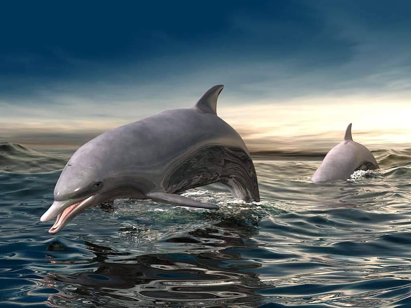 Dolphin 3d, fish, deepwater, ocean, sea, dolphin, 3d, water, dolphins, sealife, tropical, HD wallpaper