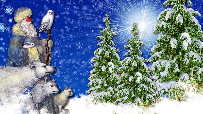Father Christmas, covered, bonito, father, cold, nice, light, frost, blue, north, lovely, holiday, christmas, new year, sky, pole, winter, tree, santa, rays, snow, snowflakes, bears, white, HD wallpaper