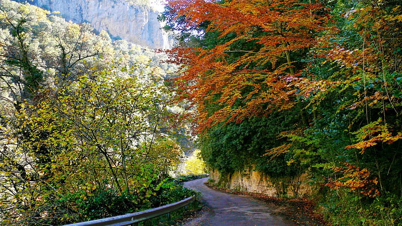 mountain road in aragon spain, forest, autumn, mountains, guard rail, road, HD wallpaper