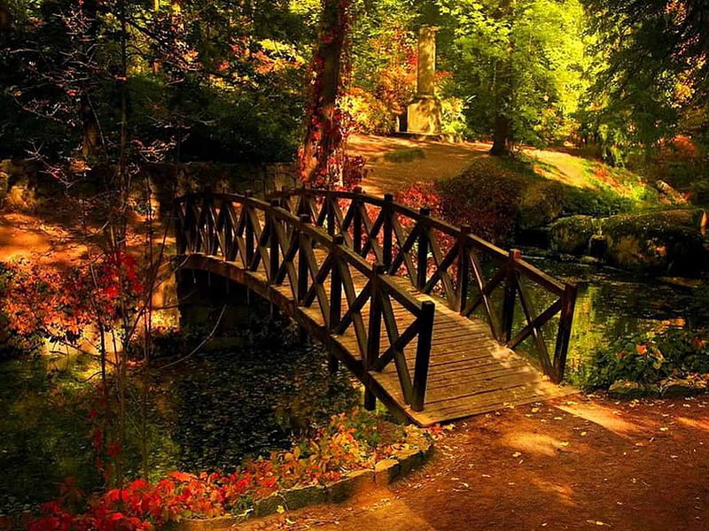 Wooden Bridge, autumn, leaves, path, river, trees, HD wallpaper
