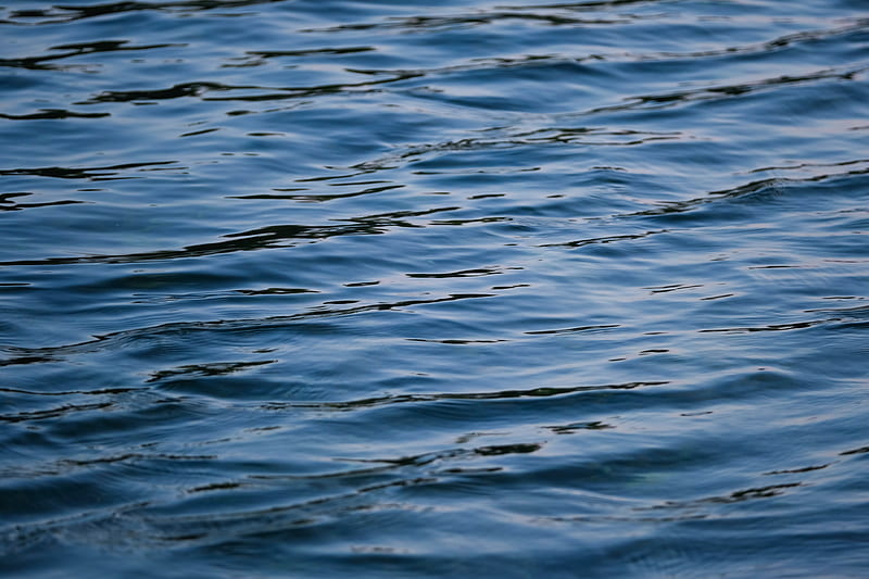 waves, ripples, water, surface, wavy, HD wallpaper