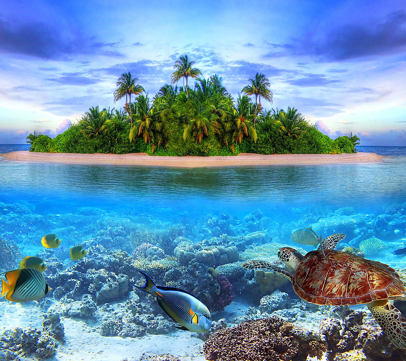 Tropical Paradise, beautiful tropics, island, under water world, water, HD wallpaper