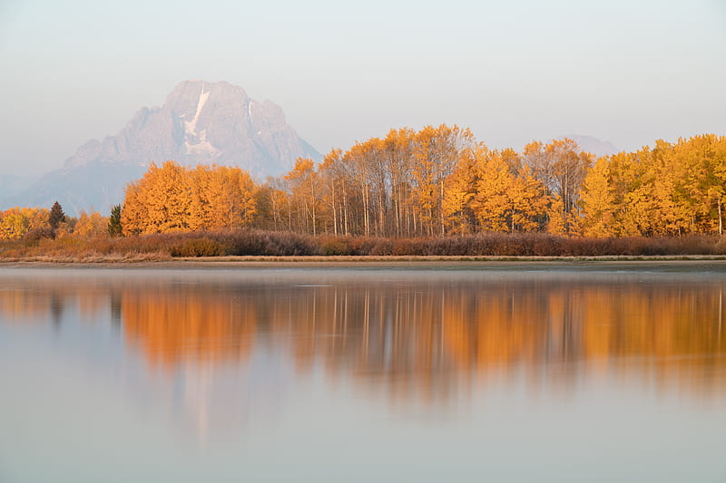 lake, trees, mountain, shore, autumn, HD wallpaper