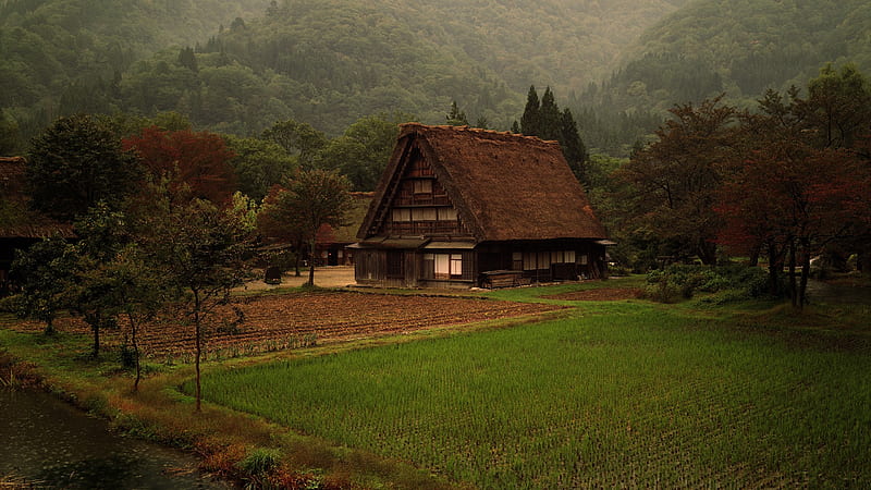 cozy house, warm, moody, field, cropland, mountain, Landscape, HD wallpaper