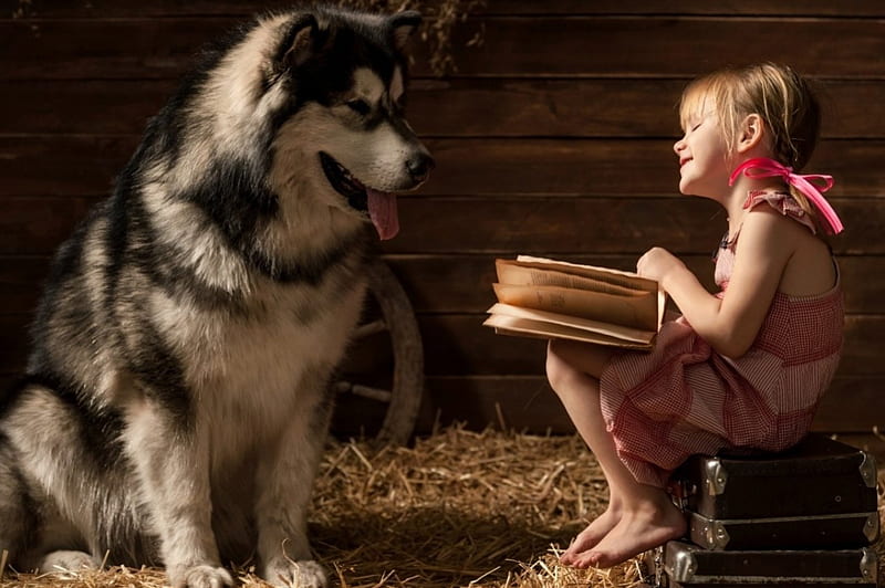 little girl, pretty, book, adorable, sightly, sweet, nice, love, beauty, face, child, dog, bonny, lovely, pure, blonde, baby, set, cute, feet, Hair, little, bag, Nexus, bonito, dainty, kid, graphy, fair, people, pink, Belle, comely, fun, smile, girl, childhood, HD wallpaper