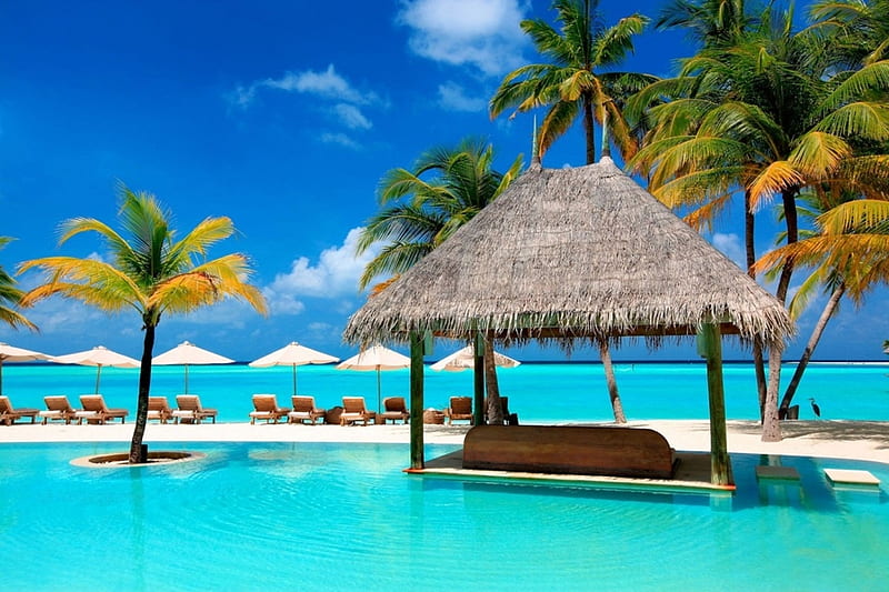 paradise beach, green, paradise, beaches, heaven, trees, pool, sea, blue, HD wallpaper