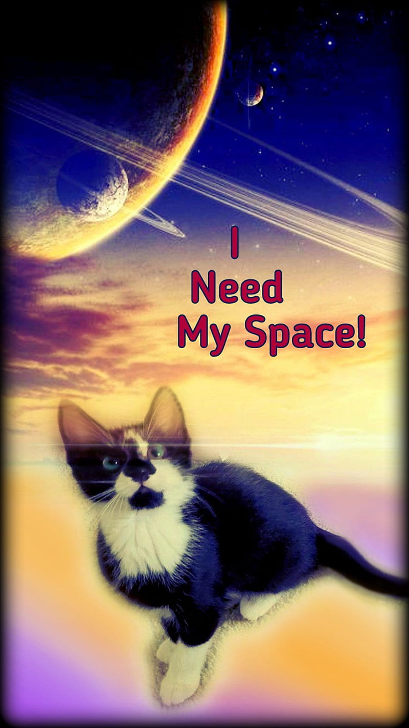 Lovely space kitten