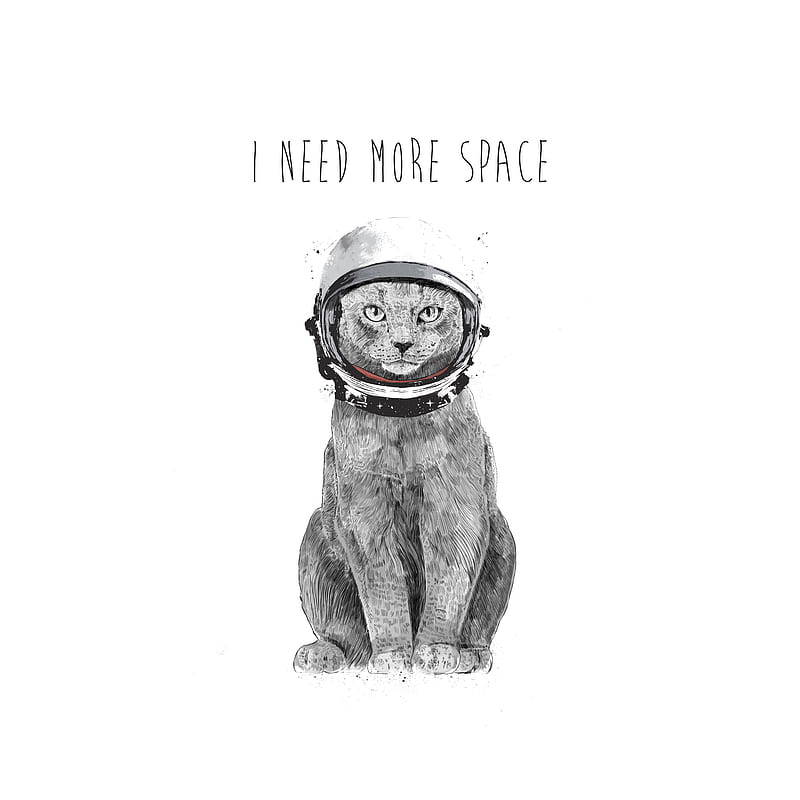 I need more space, Balazs, astronaut, cat, classic, drawing, elegant, funny, humor, sayings, HD phone wallpaper