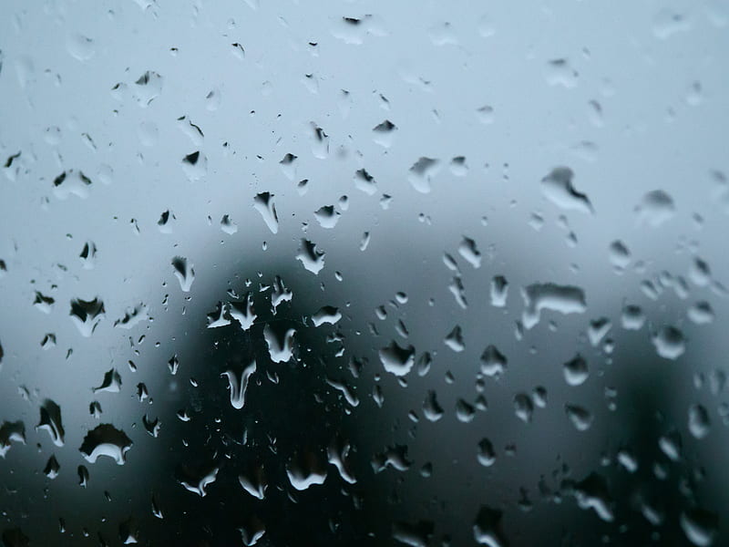 drops, rain, glass, macro, wet, HD wallpaper