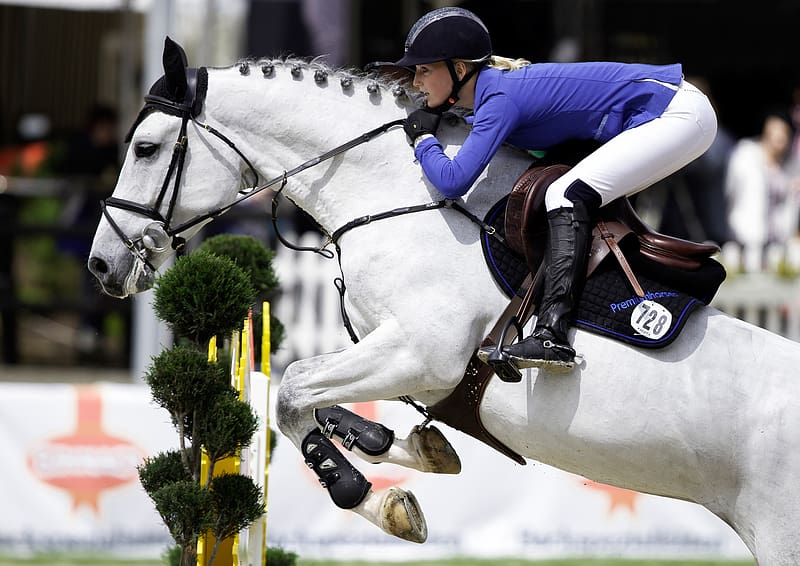 Sports, Horse, Equestrian, Show Jumping, HD wallpaper