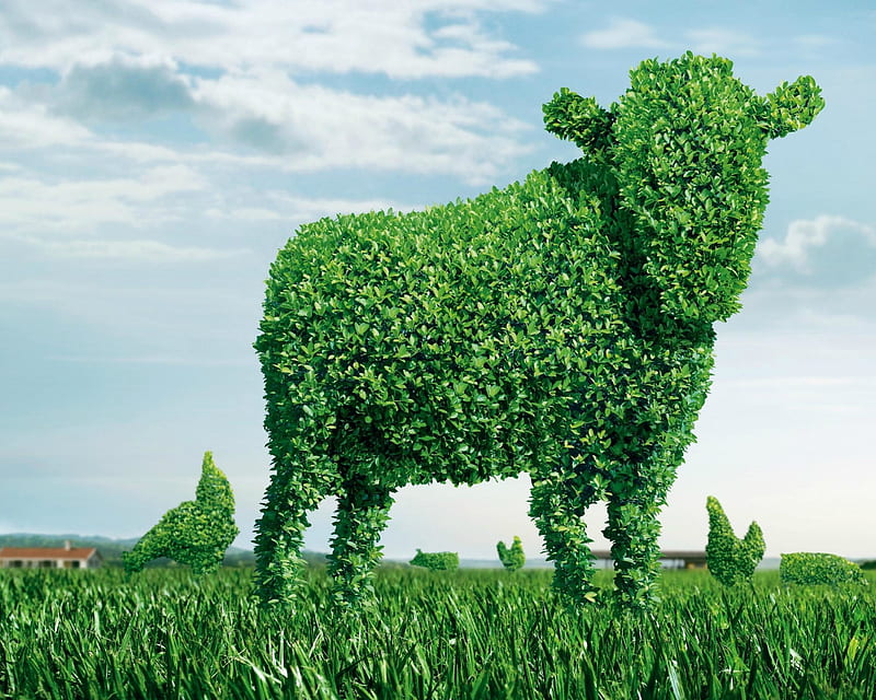 Cow for veggies, cow, chicken, grass, animal, commergial, add, green, bird, veggie, vaca, funny, HD wallpaper
