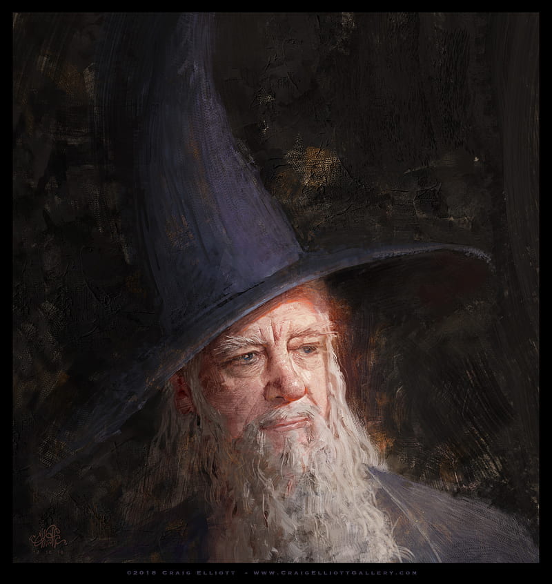 Gandalf, wizard, portrait, The Lord of the Rings, The Hobbit, digital, HD phone wallpaper