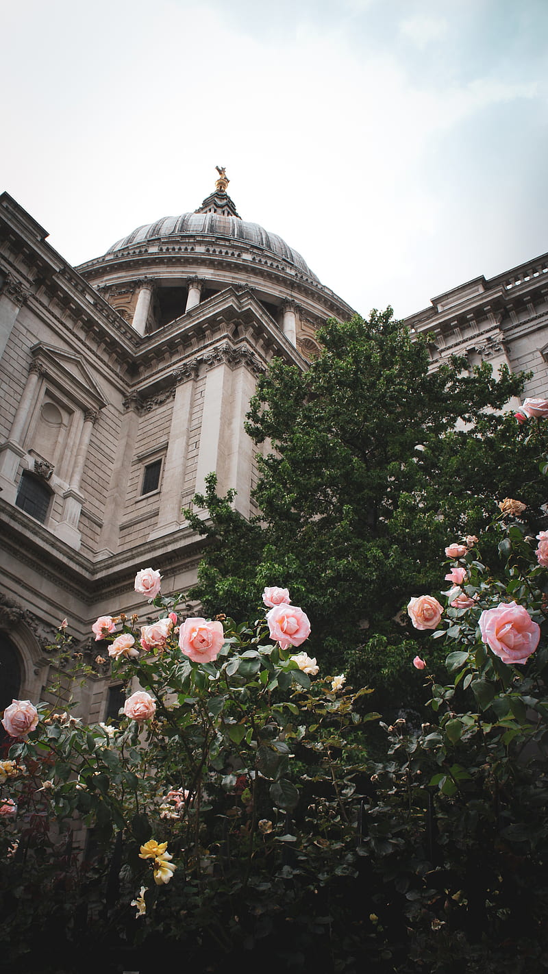 St Paul's Cathedral, InkTheory, architecture, building, church, city, england, goth, gothic, historical, landscape, london, londoncity, moody, nature, park, perspective, graph, real, realistic, rose, sky, stpauls, travel, uk, HD phone wallpaper