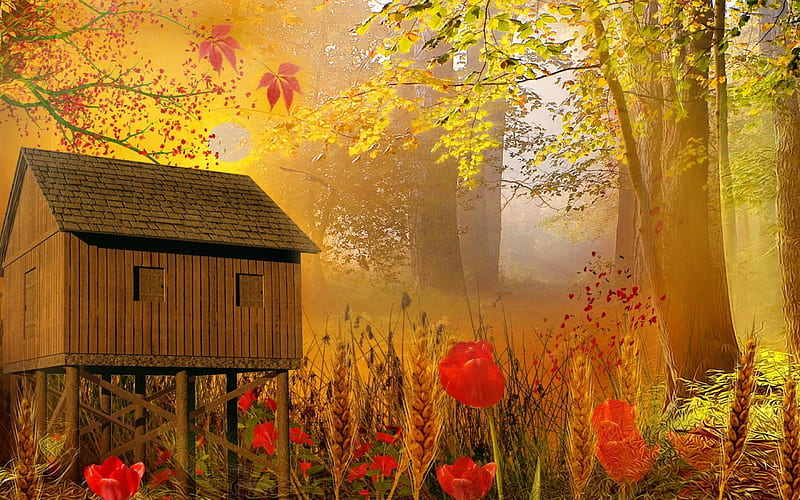 Lovely place, red, pretty, house, cottage, poppies, cabin, bonito, countryside, nice, calm, painting, village, flowers, beauty, lovely, fresh, golden, trees, freshness, peaceful, summer, branches, HD wallpaper