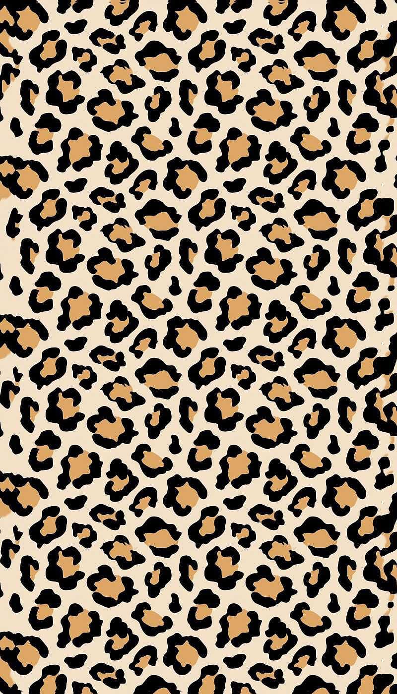 Leopard Pattern, Leopard Skin, HD phone wallpaper