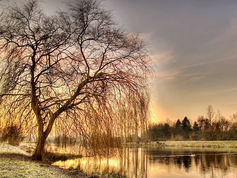 Sunday Morning Sunrise, autumn, sun, water, sunrise, sunday, sky, lake ...