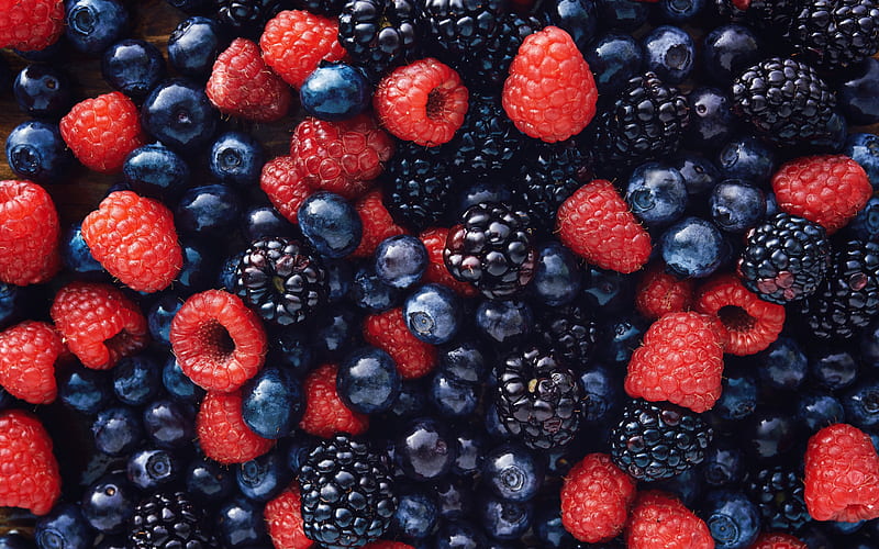 forest berries, raspberries, blueberries, blackberries, HD wallpaper