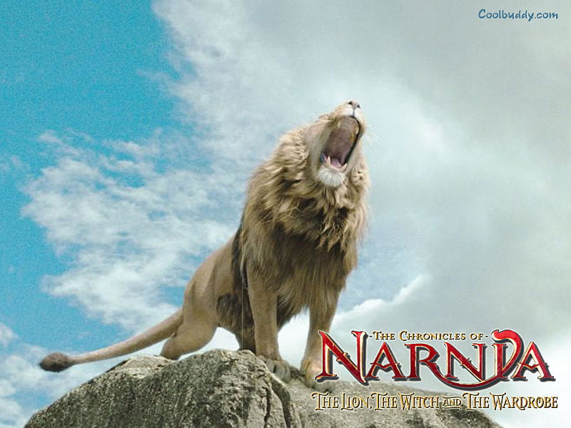 The Chronicles of Narnia, witch, movie, wardrobe, narnia, lion, HD wallpaper