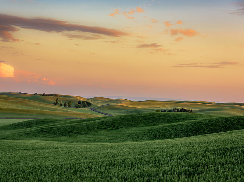 Green Wheat Fields near Palouse, Hills,... Ultra, United States, Washington, Blue, Nature, Landscape, Summer, Green, Open, Sunset, Farm, Field, Road, Wheat, Wide, Plants, State, Empty, Fields, Rural, Hills, Eastern, Winding, Crop, Palouse, Growing, Solitude, Countryside, Rolling, Agriculture, unitedstates, bluesky, washingtonstate, windingroad, greenwheat, noone, noperson, rollinghills, easternwashington, easternwashingtonstate, plantsgrowing, pullman, wheatfields, wheatgrowing, whitman, wideopenspaces, HD wallpaper